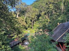 -中国科学院西双版纳热带植物园