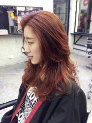 -SALON V