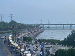 -宝安西湾红树林湿地公园