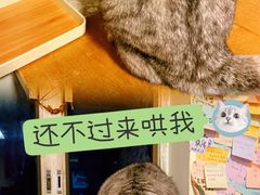 -H立方实景剧情密室(天河旗舰店)