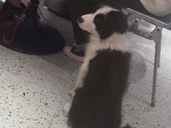 -BOCATA 西班牙餐厅(三里屯店)