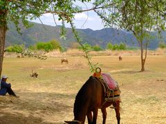 -泸沽湖国家级风景名胜区走婚桥