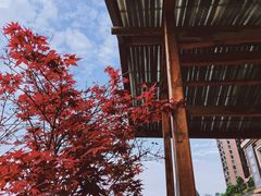 -冰冰龙虾·江湖菜·花园江景餐厅