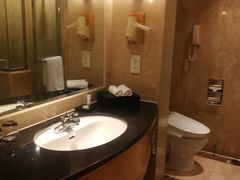 -南京维景国际大酒店(南京博物院店)