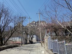 -凤凰小镇·徐州特色菜(凤凰岭店)