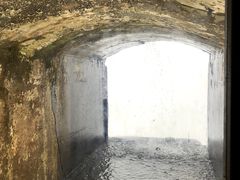 -尼亚加拉瀑布州立公园