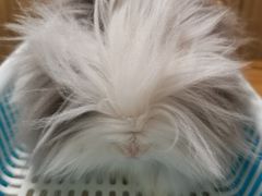 -藦茜花园宠物主题亲子互动体验馆(国顺东路店)