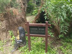 -沕沕水生态风景区