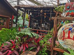 -呀路古热带植物园