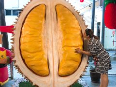 -都念榴莲·城市榴莲