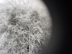 -太子岭滑雪场