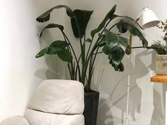 -COTTON CAFE(德信·中外公寓店)