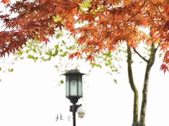 -北山街历史文化街区