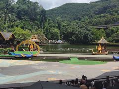 -西双版纳原始森林公园