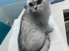 -纳吉亚猫专科动物医院博雅分院