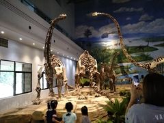 -自贡恐龙博物馆