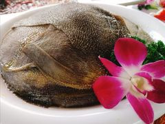 -二荆条·蜀鲜汇城市森林火锅