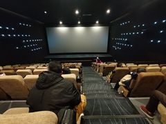 -深影国际影城(学院南路店CGS中国巨幕店)