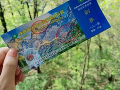 -王顺山国家森林公园