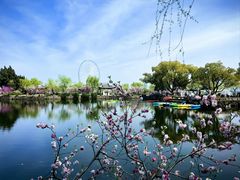 -无锡蠡湖国家湿地公园-蠡园