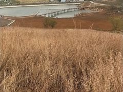 -恋山坝上草原