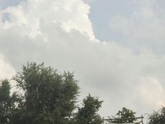 -长春北湖公园