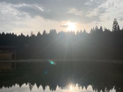 -武陵山森林公园