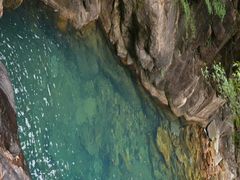-广州市流溪河国家森林公园