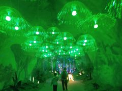 -栾川竹海野生动物园