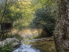 -燕子河大峡谷天坑仙境