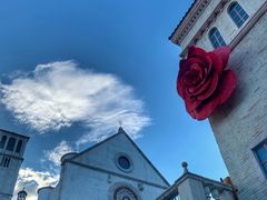 -华谊兄弟（长沙）电影小镇