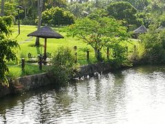 -三亚珠江南田温泉度假区