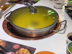 -洪氏嗨捞·猪肚鸡火锅(阳光天地店)