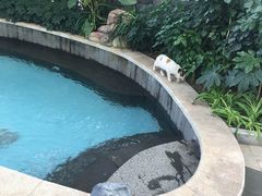 -郑州银基黄帝宫御温泉