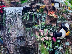 -正佳雨林生态植物园