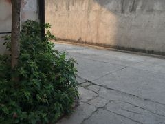 -蒋氏故居