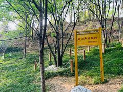 -福道
