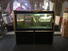 -古法古典鸡饭店
