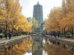 -玲珑塔公园
