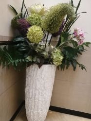 -紫洁俪方（北京）医疗美容