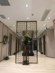 -HQ半永久纹绣纹眉