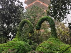 -鹅岭公园瞰胜楼