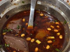 -大邑李记肥肠血旺