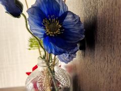 -汤泉良子.足疗按摩.SPA(中关村店)