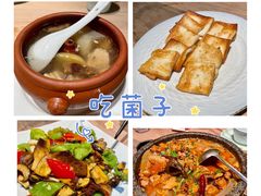-缘生态云南菜·野生菌庭院餐厅(华侨城店)