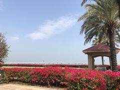 -V Bar海景扒房(北海湾惠龙万达嘉华酒店)