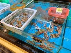 水产区-乐兴海鲜餐厅