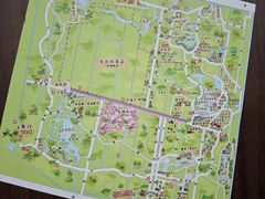 -东平国家森林公园