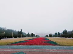 -莫斯科大学