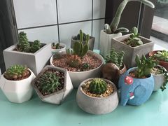 -蜜蜂小象·榴莲千层蛋糕(时代汇11栋店)